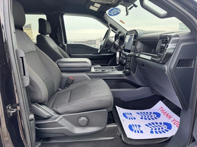 2024 Ford F-150 STX