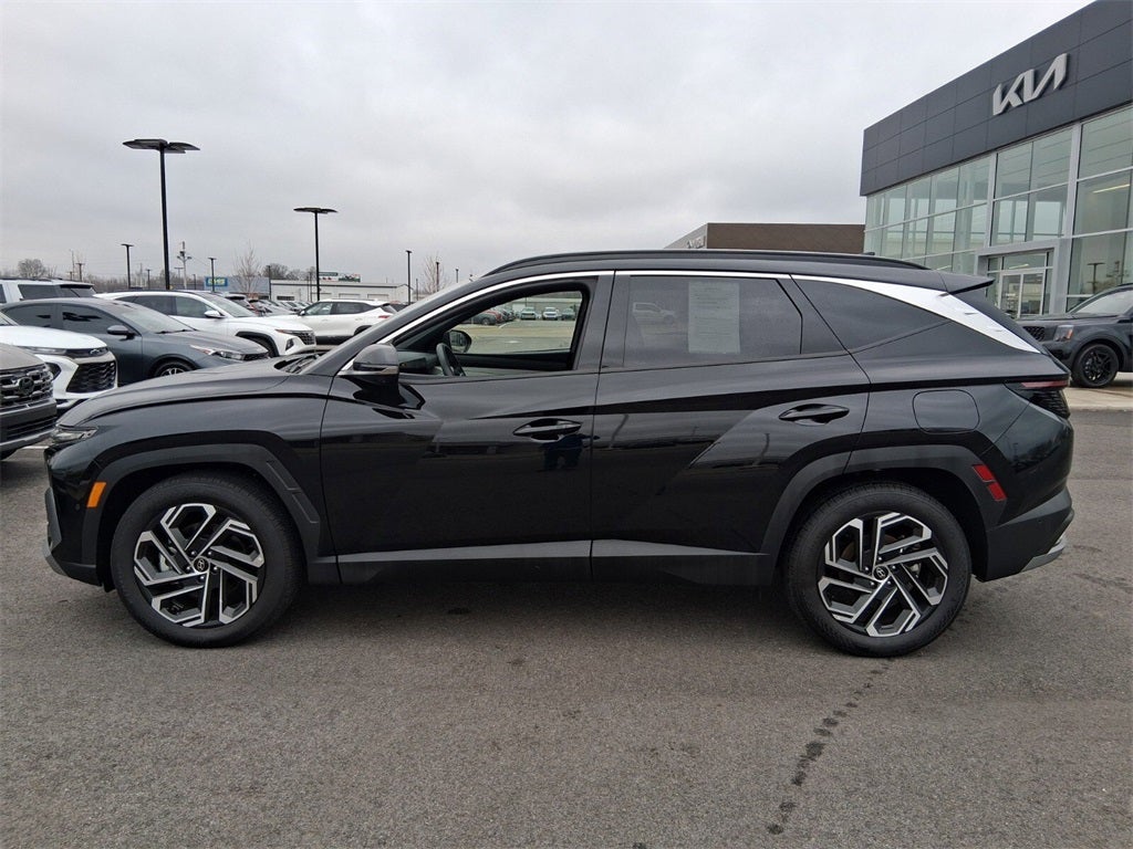 2025 Hyundai Tucson Limited